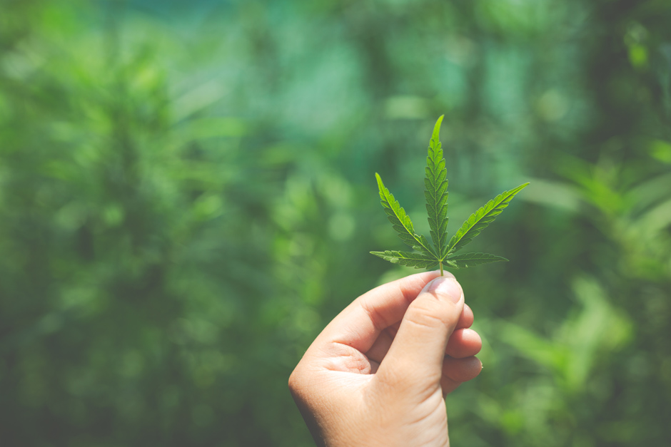 Le CBD donne t’il les yeux rouges ?