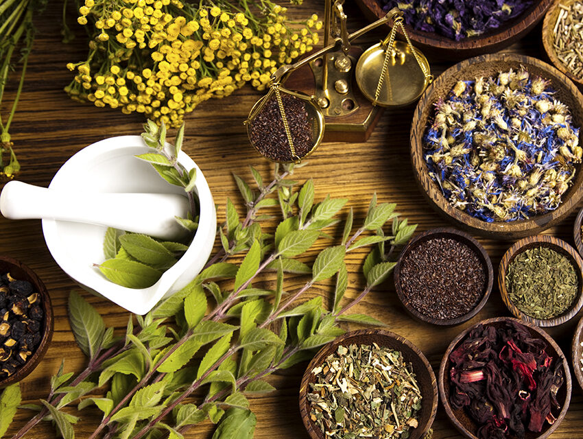 Comment la phytothérapie peut traiter naturellement diverses affections